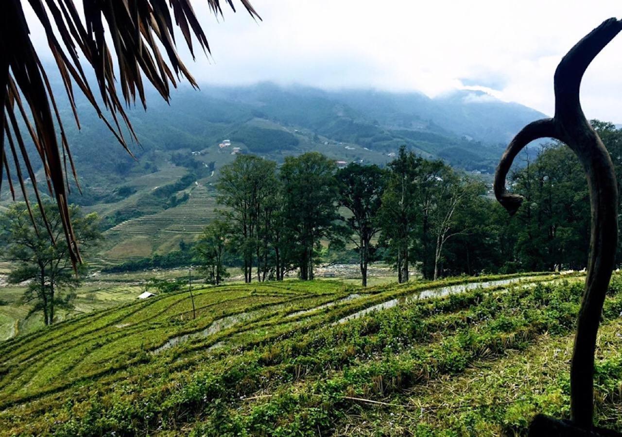 Sapa Hmong Bungalow Homestay Zewnętrze zdjęcie